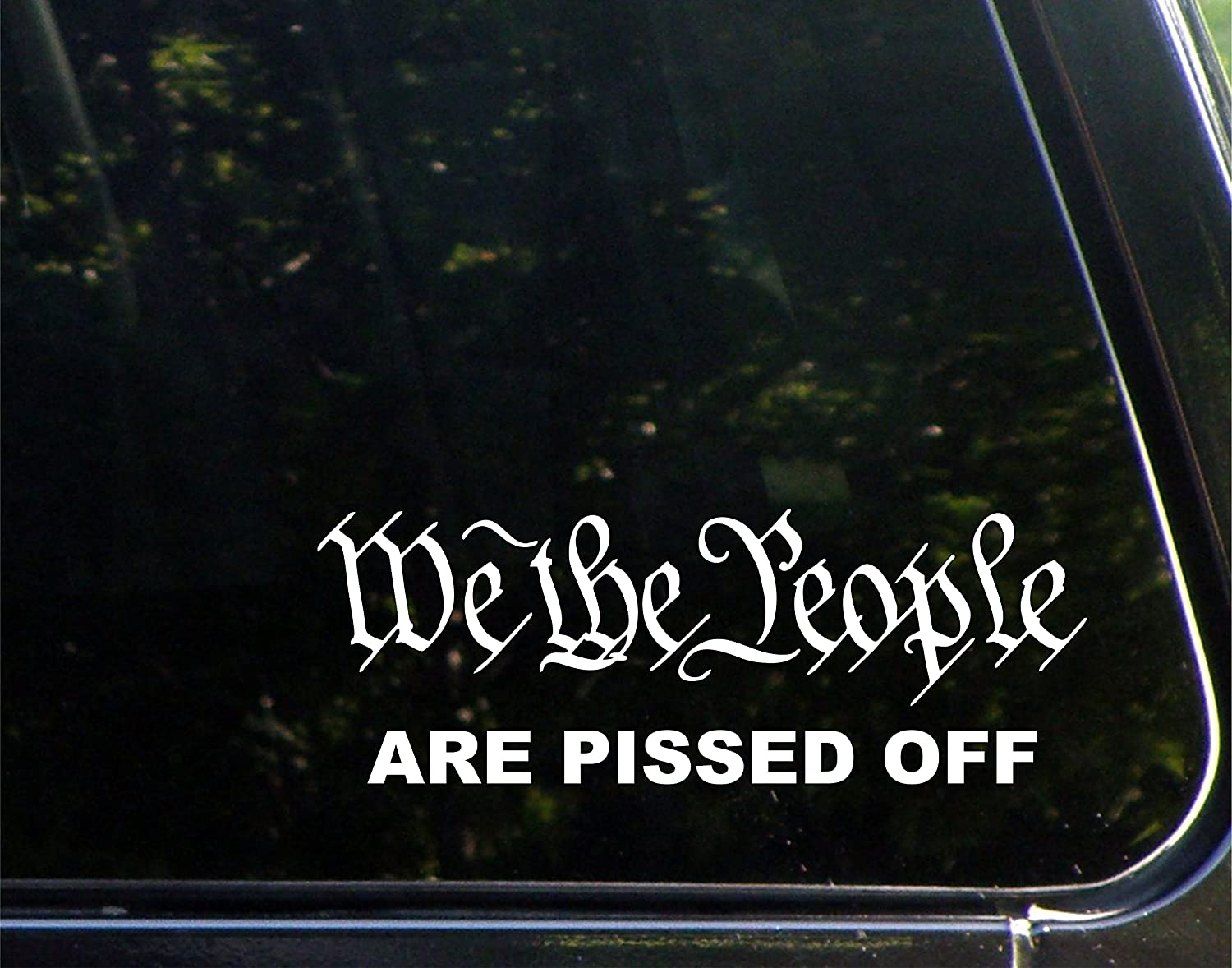 We The People Are Pissed Off Decal Sticker (WH3)